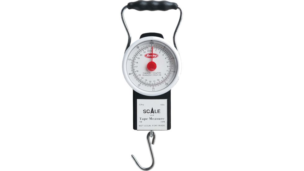 Berkley Fish Scale w/Tape 176776