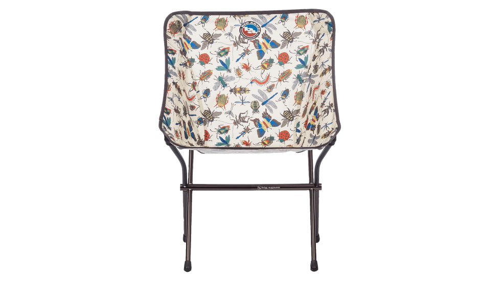 Big Agnes Mica Basin Camp Chair, Bugs, FMBCCBUG24