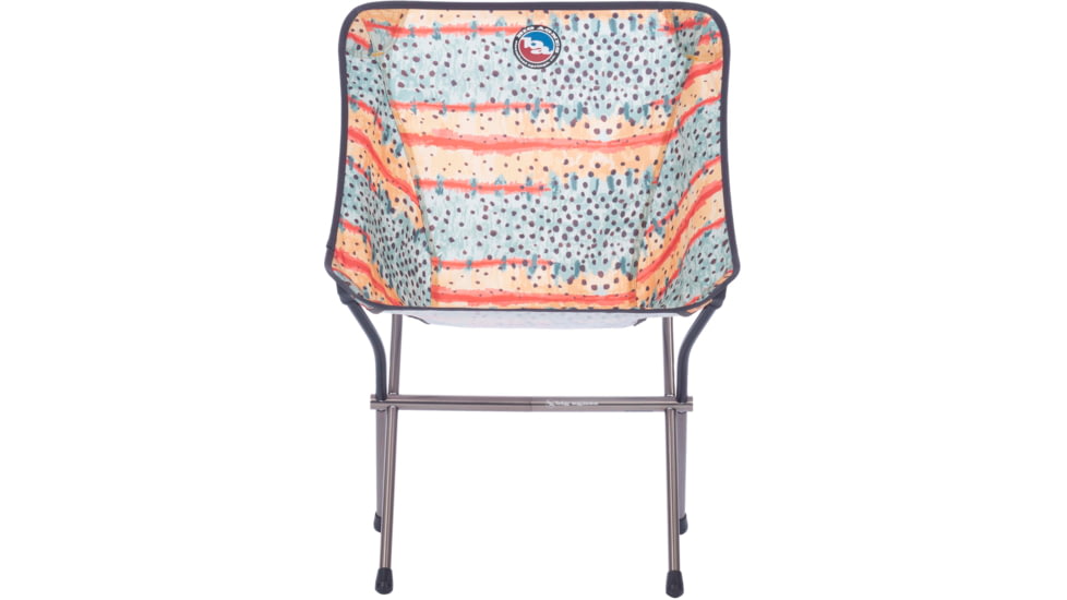 Big Agnes Mica Basin Camp Chair, Greenback, Standard, FMBCCGT22
