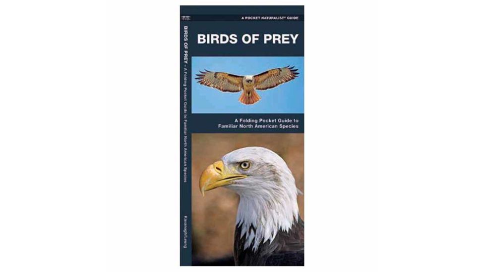 Birds Of Prey, James Kavanagh, Publisher - Pocket Naturalist