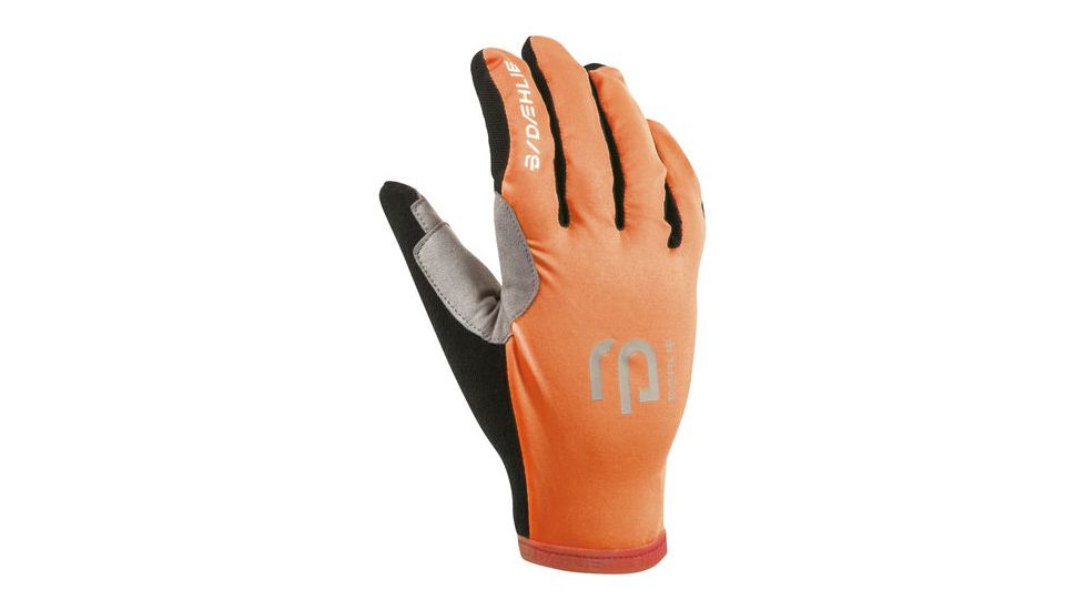 Bjorn Daehlie Gloves Summer, Forged Iron, Small, 94200-S-Forged Iron