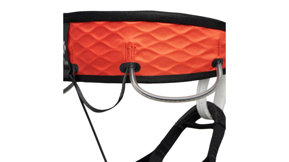 Black Diamond Airnet Harness - Womens, Octane, Medium, BD6511088001MED1