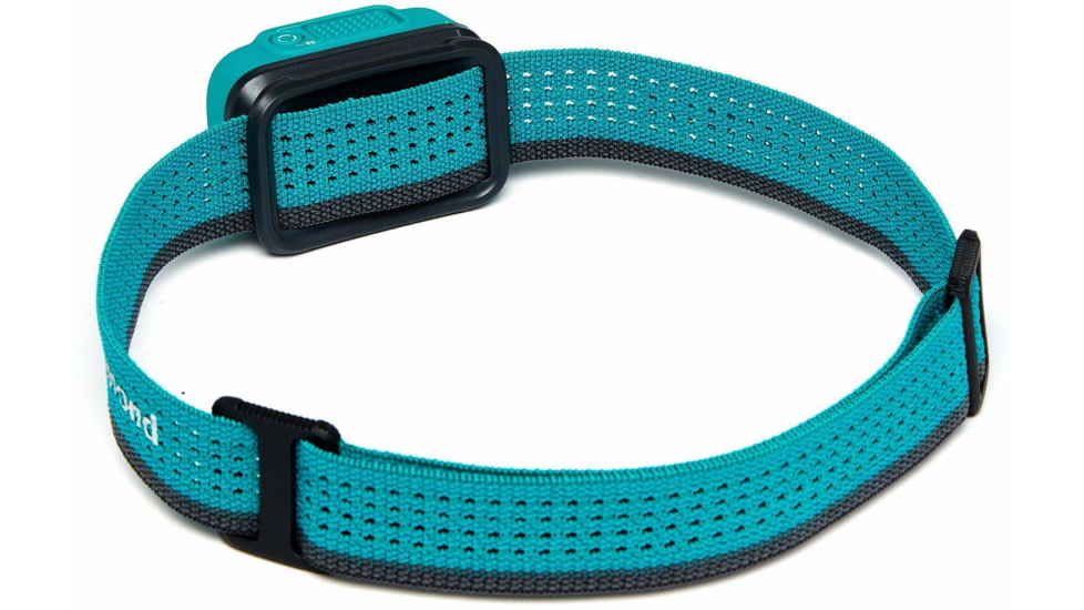 Black Diamond Cosmo 300 Headlamp, Aqua, BD6206604000ALL1