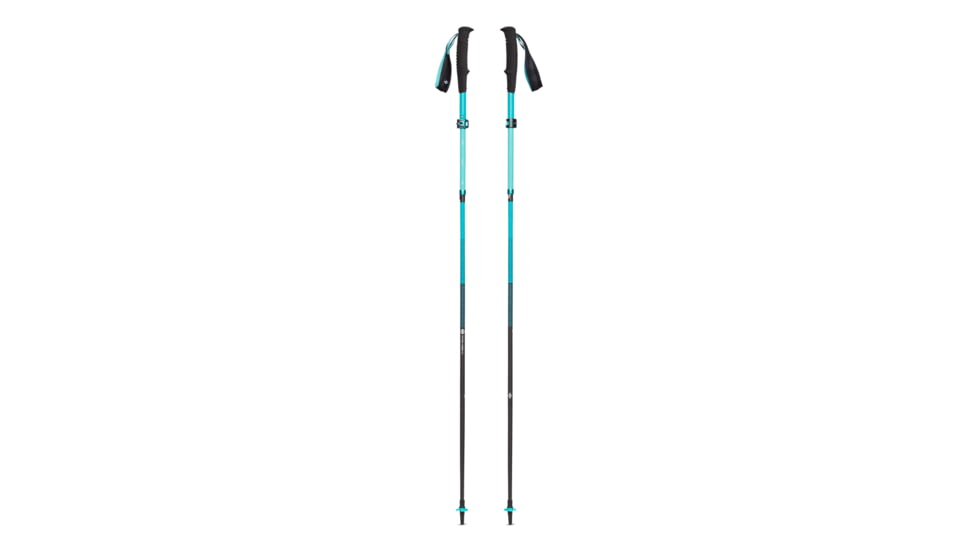 Black Diamond Distance Carbon FLZ Poles - Womens, Dark Patina, 110, BD11253940501101
