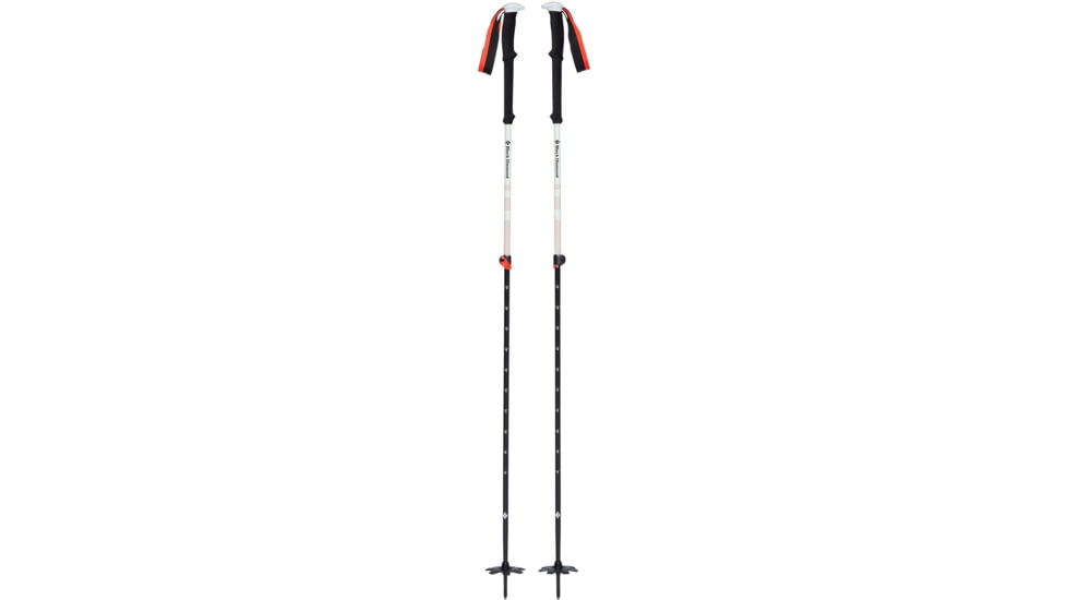 Black Diamond Expedition 2 Ski Poles, 145, BD11158900001451