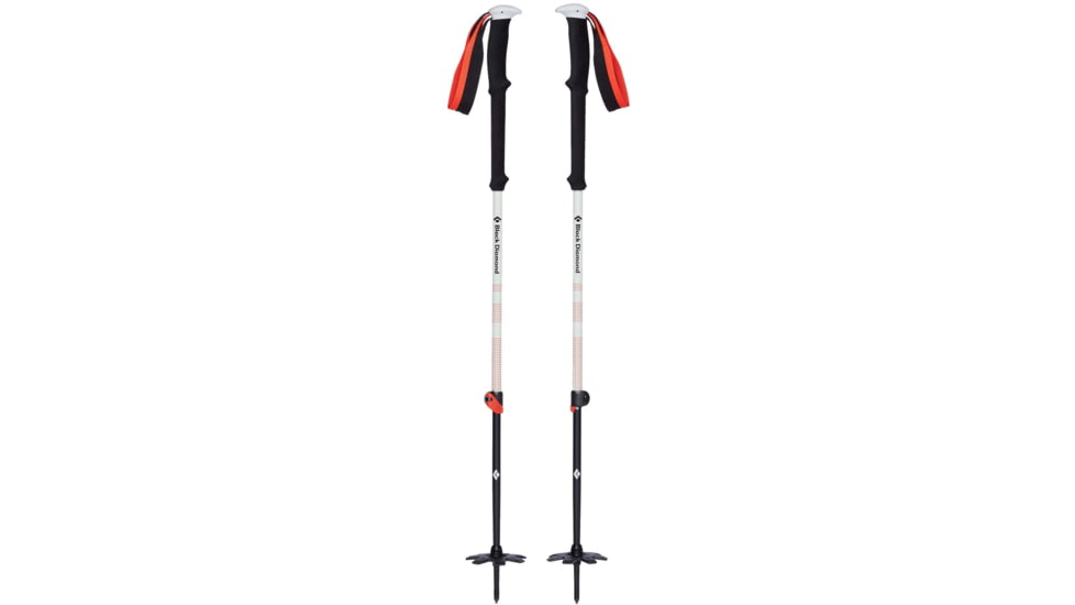 Black Diamond Expedition 2 Ski Poles, 145, BD11158900001451
