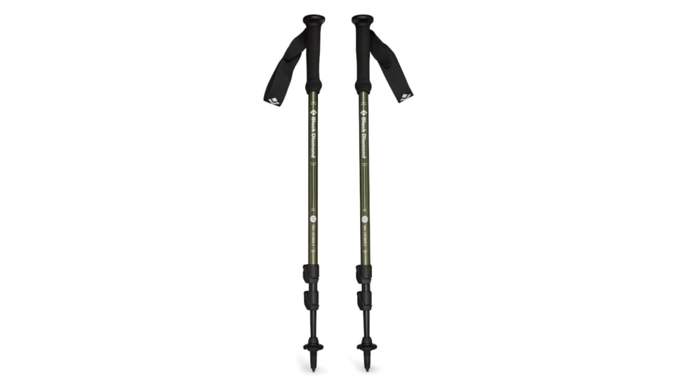 Black Diamond Explorer 3 Trekking Poles, Tundra, BD1125513010ALL1