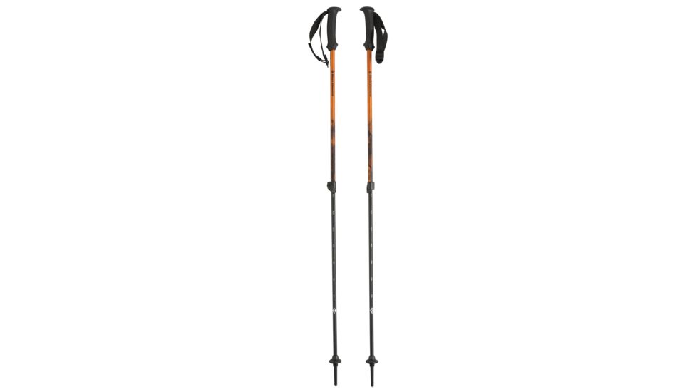Black Diamond First Strike Trekking Poles