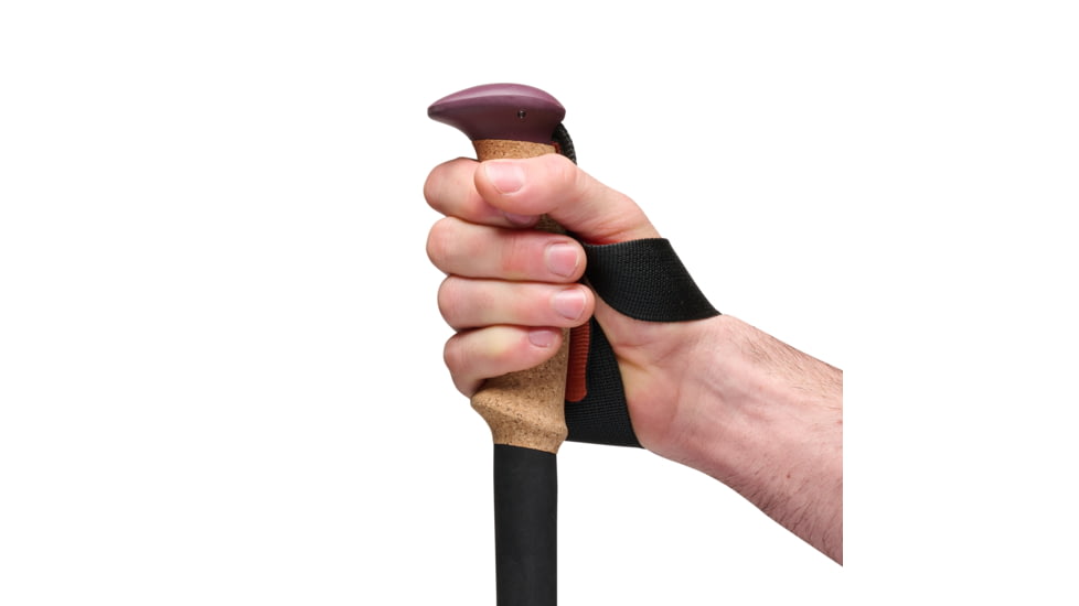 Black Diamond Trail Cork Trekking Poles, Fig, One Size, BD1100656052ALL1