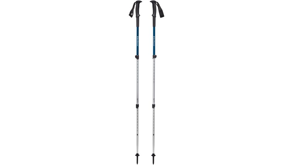 Black Diamond Trail Sport 3 Trekking Poles, Kingfisher, BD1122254015ALL1