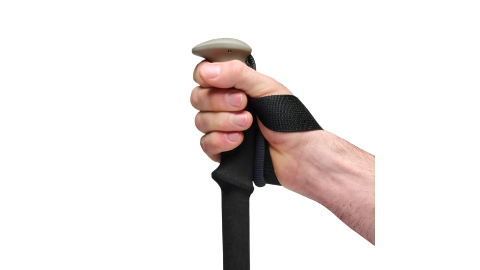 Black Diamond Trail Trekking Poles, Pine Smoke, One Size, BD1100453060ALL1