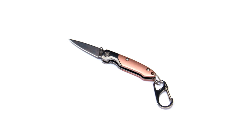 Brighten Blades Floyd Keychain Not So Heavy Metal Knife, 1.625in, 8Cr13MoV Stainless Steel, Drop Point, BB-133