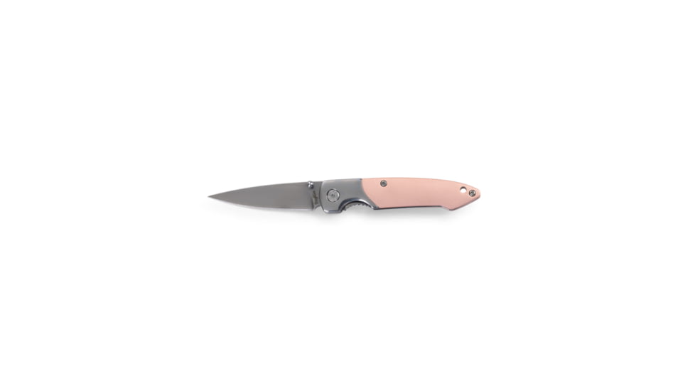 Brighten Blades Floyd Not So Heavy Metal Knife w/Case, 2.5in, 8Cr13MoV Stainless Steel, Drop Point, Gray, BB-127