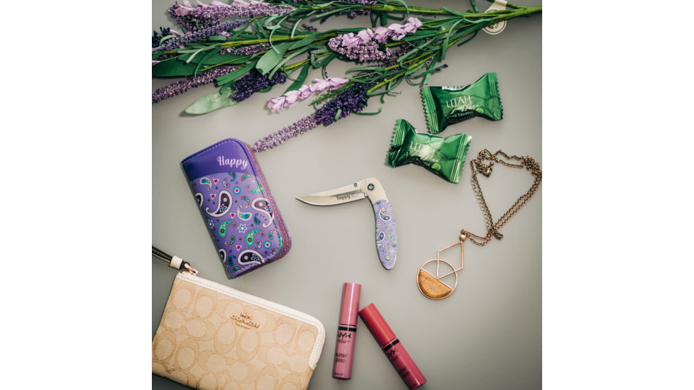 Brighten Blades Happy Folding Knife w/ Case, 2.56in, 8Cr13MoV Stainless Steel, Clip Point, Multi, BB-102