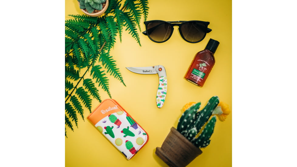 Brighten Blades Resilient Folding Knife w/ Case, 2.56in, 8Cr13MoV Stainless Steel, Clip Point, Multi, BB-106