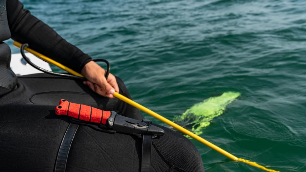 Bubba Blade Scout Pointed Dive Knife, 3.5in, Stainless Steel Blade, 4.5in Handle, 1107806