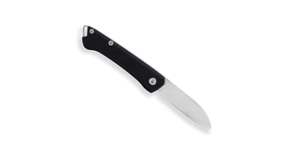 Buck Knives Saunter Folder DP Micarta