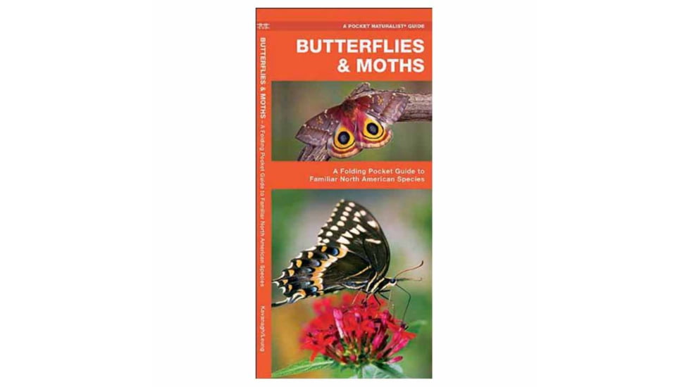Butterflies &amp; Moths, James Kavanagh, Publisher - Pocket Naturalist