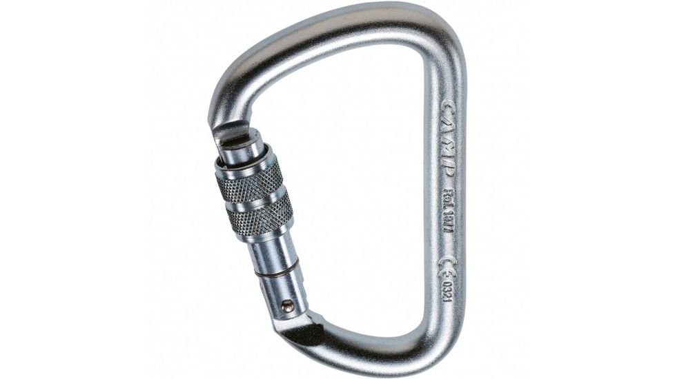 C.A.M.P. Steel D Lock Carabiner, Silver, 1877