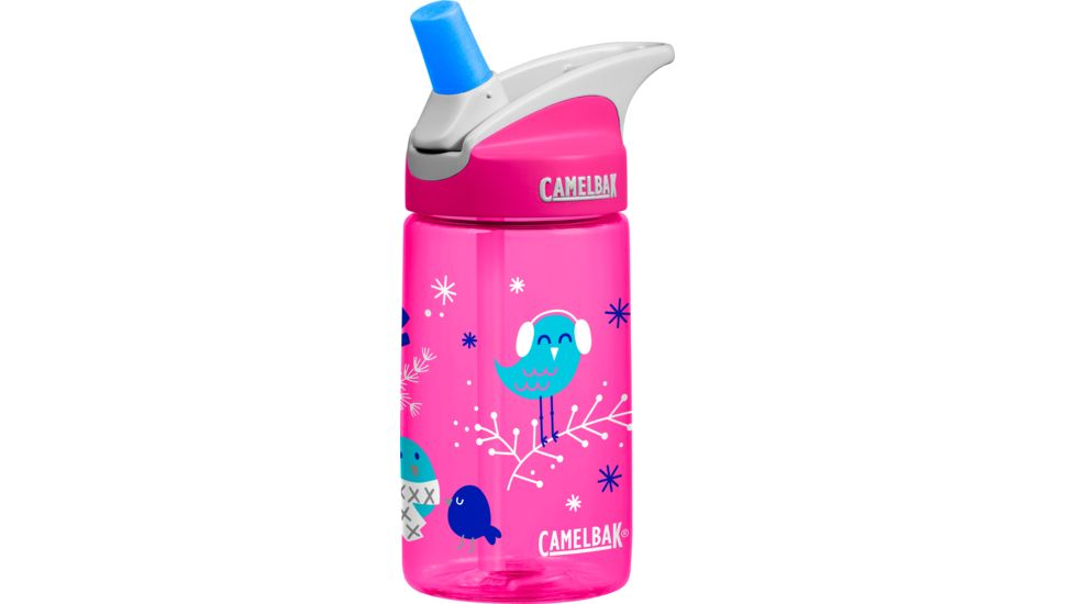 CamelBak eddy Kids Water Bottle-Winter Birdies