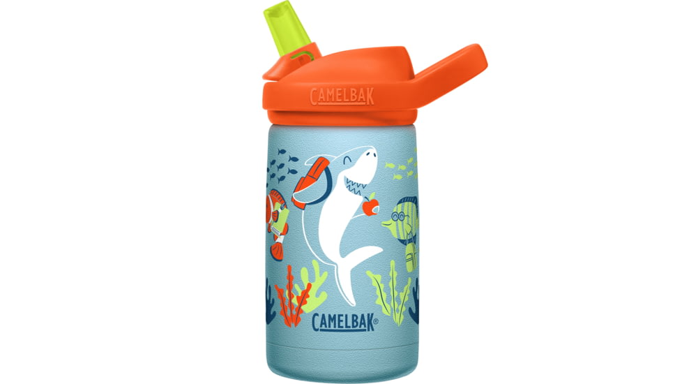 CamelBak Eddy Stainless Vacuum Insulated Water Bottle, School of Fish, 12 oz, 2752401035