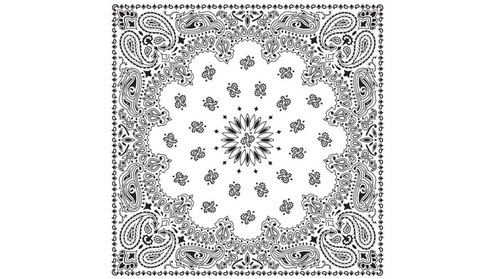 Carolina Manufacturing Bandana Paisley Terracotta B22PAI-000014