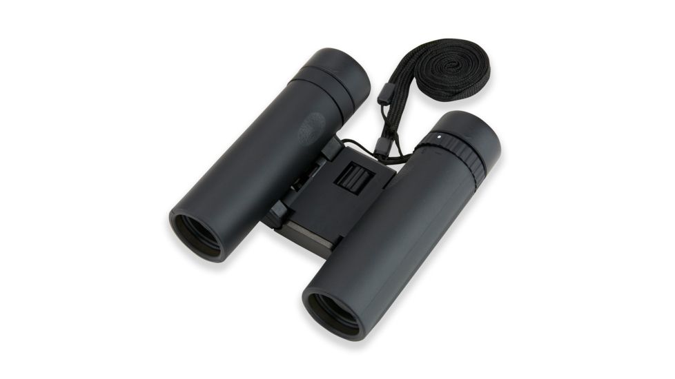 Carson 10x25mm Compact Binoculars, Silver/Black TM-025