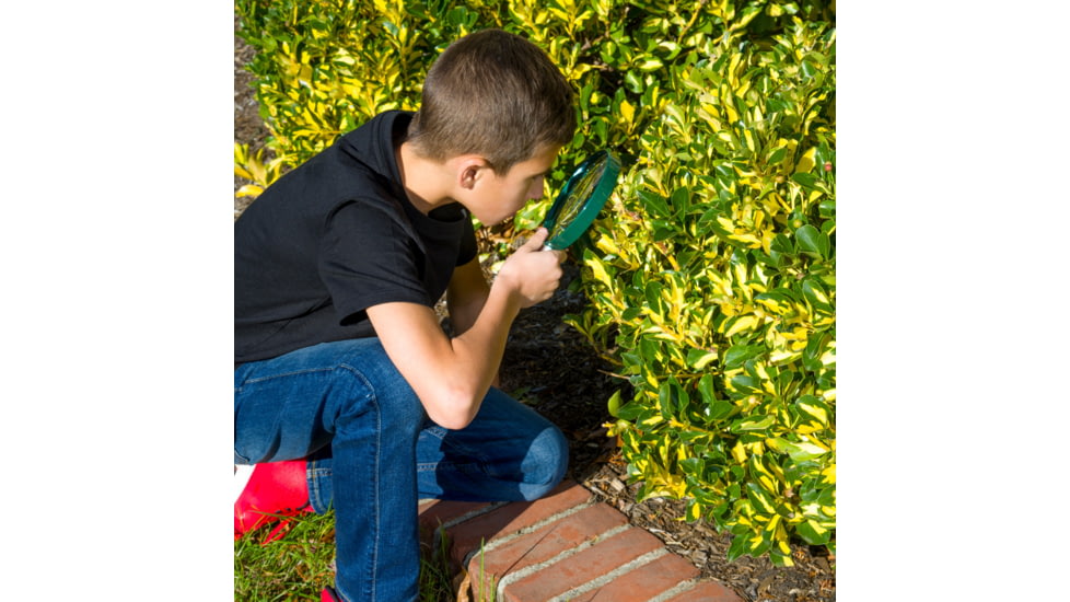 Carson BigEye 2.5x 5in Acrylic Hand Magnifier, Outdoor Green HU-20