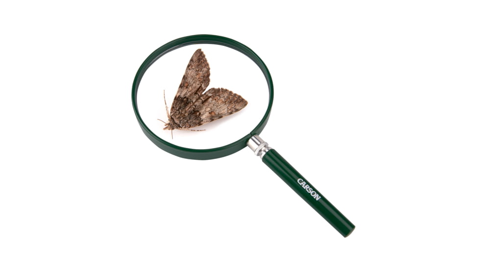 Carson BigEye 2.5x 5in Acrylic Hand Magnifier, Outdoor Green HU-20