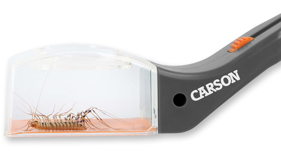 Carson Optical Humane Bug Catcher Tool for Insect Catch-and-Release w/ 5x Magnifier, Gray, 2.2 in x 1.6 in x 10.5 in, HU-30