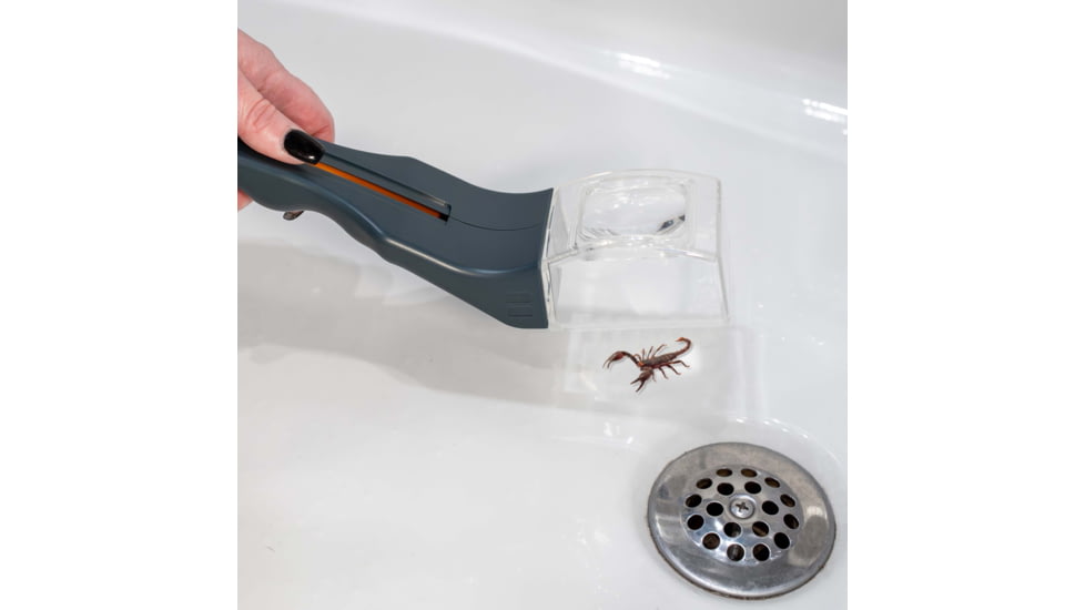 Carson Optical Humane Bug Catcher Tool for Insect Catch-and-Release w/ 5x Magnifier, Gray, 2.2 in x 1.6 in x 10.5 in, HU-30