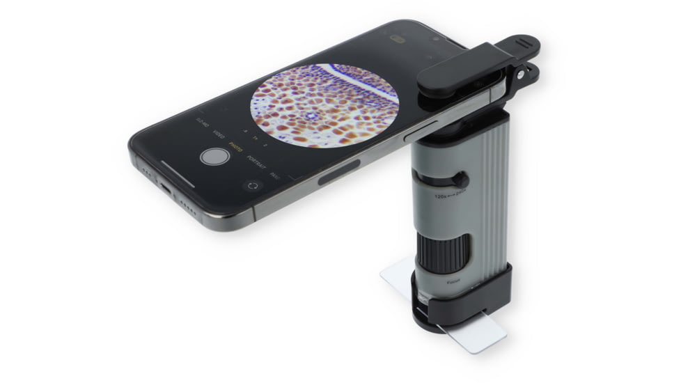 Carson Optical MP-400 MicroPic 120-240x Pocket Microscope, Gray, 1.0 in x 1.7 in x 5.1 in, MP-400