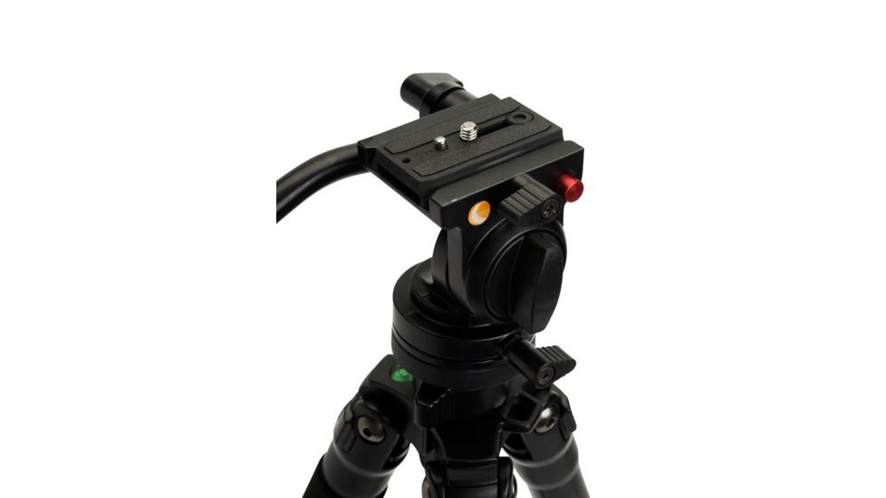 Celestron Regal Premium Adjustable Aluminum Tripod, Black 82052