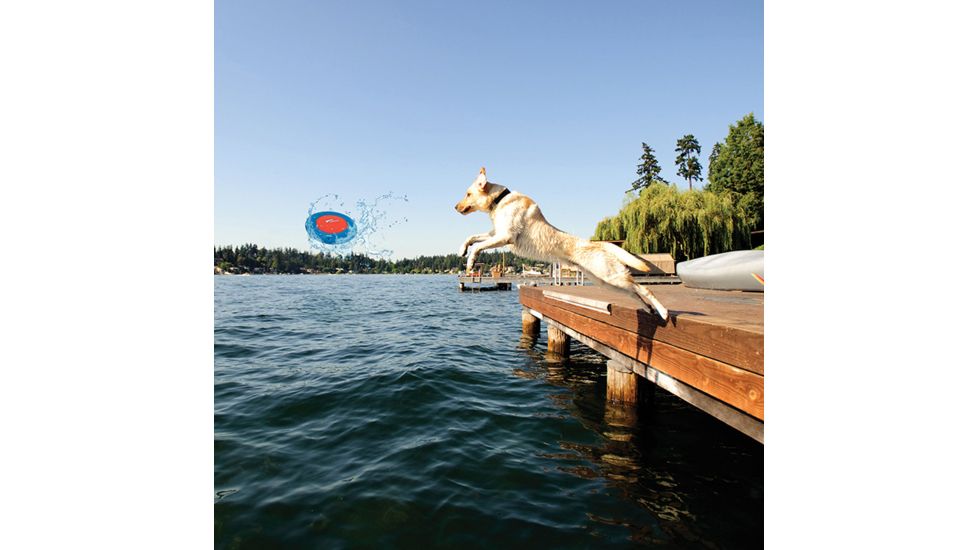 Chuckit! Hydroflyer Md 31470