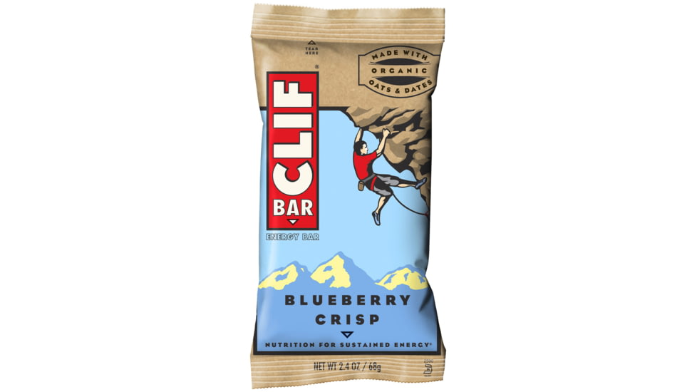 Blueberry Crisp Bar-1 Bar