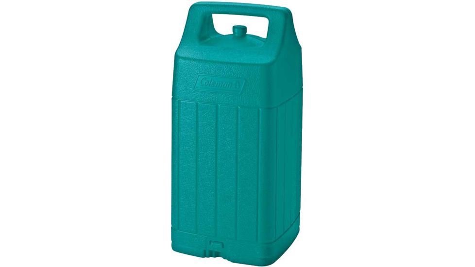 Coleman Outdoor Gas Lantern Carry Case, Green, 288A763T
