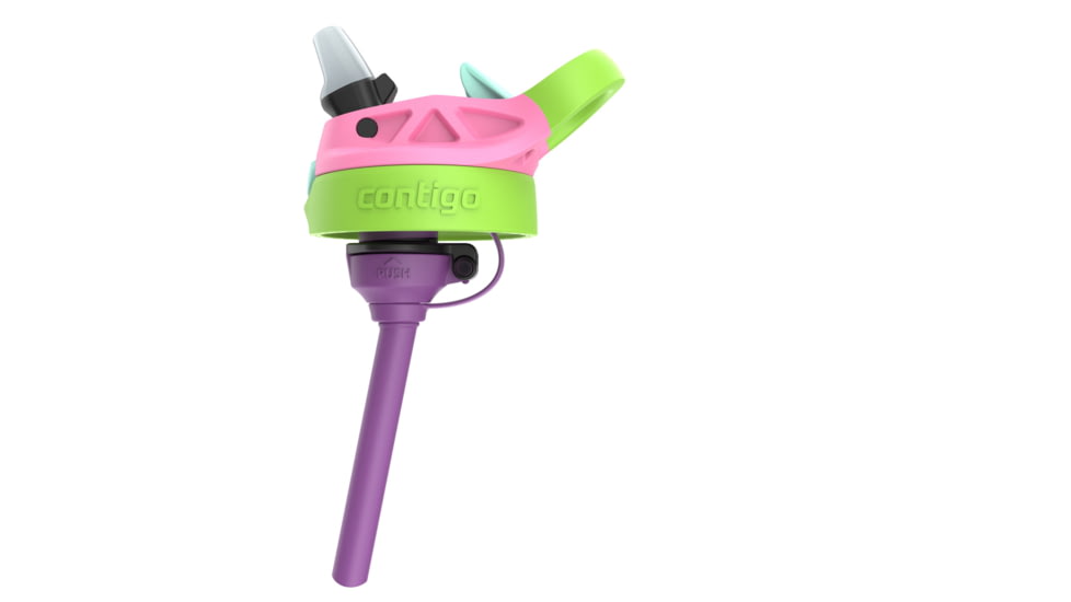 Contigo Asclnbl PP Bottle, 14 oz, Azalea Frog Prince, 14, CTPLASCLN2514-22