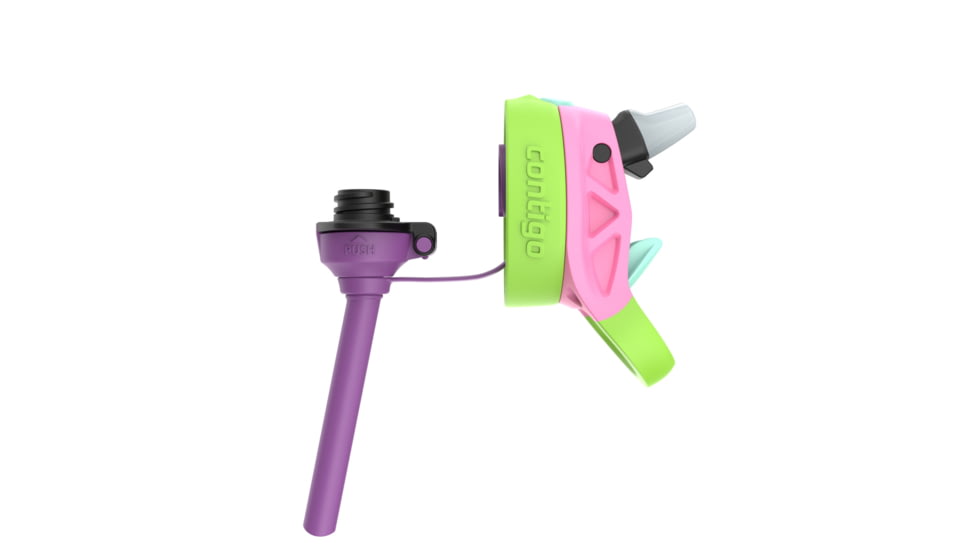 Contigo Asclnbl PP Bottle, 14 oz, Azalea Frog Prince, 14, CTPLASCLN2514-22
