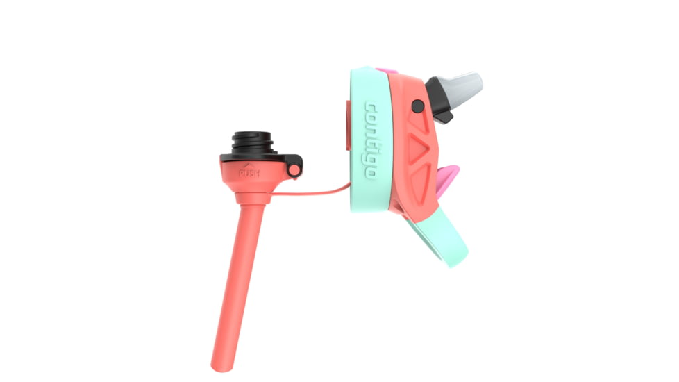 Contigo Asclnbl PP Bottle, 14 oz, Coral Llamas, 14, CTPLASCLN2514-19