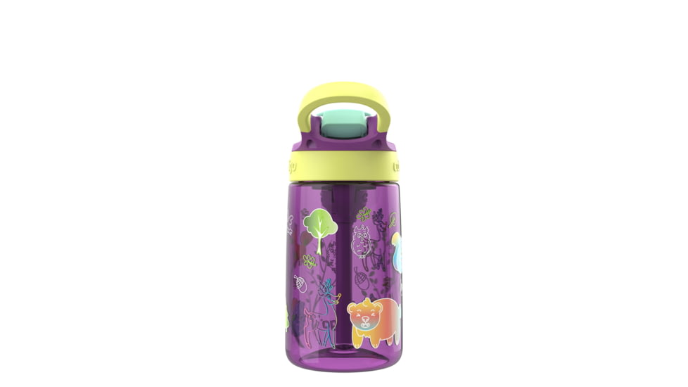 Contigo Asclnbl PP Bottle, 14 oz, Grape Forest Haven, 14, CTPLASCLN2514-21