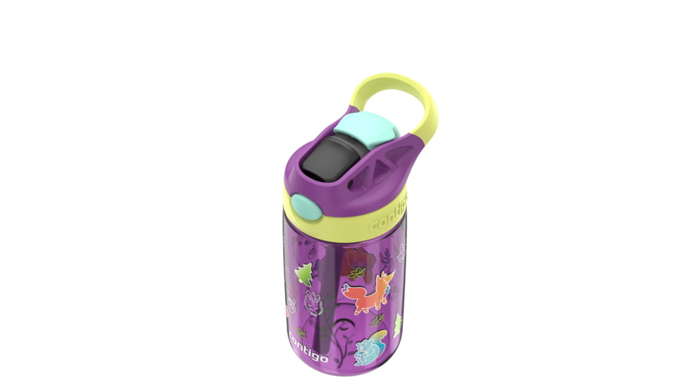 Contigo Asclnbl PP Bottle, 14 oz, Grape Forest Haven, 14, CTPLASCLN2514-21