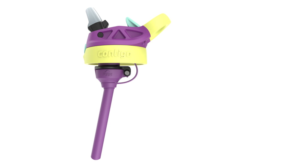 Contigo Asclnbl PP Bottle, 14 oz, Grape Forest Haven, 14, CTPLASCLN2514-21