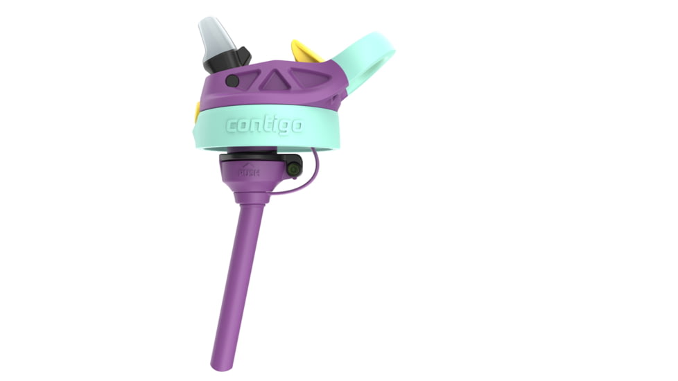 Contigo Asclnbl PP Bottle, 14 oz, Grape Mermaids, 14, CTPLASCLN2514-17