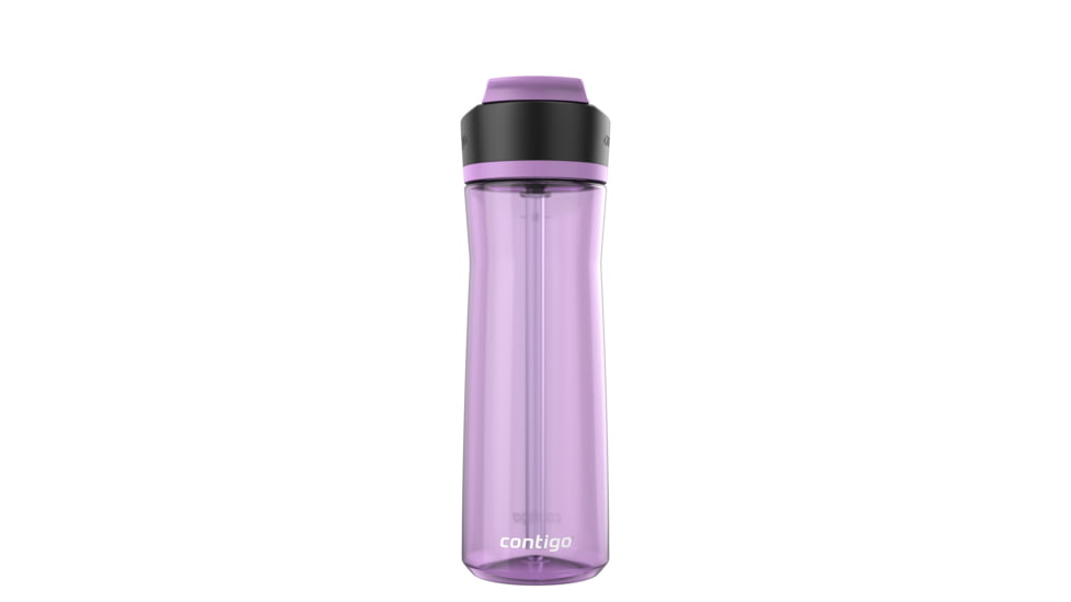 Contigo Ashland 2.0 Bottle, 24 oz, Pansy, 24, CTPLASHLND2024-9