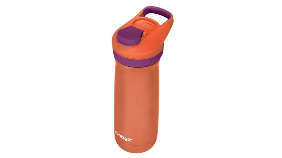 Contigo Casey Autoseal Stainless Steel, 13 oz, Coral Grape, 13, CTSSCASASL13-3