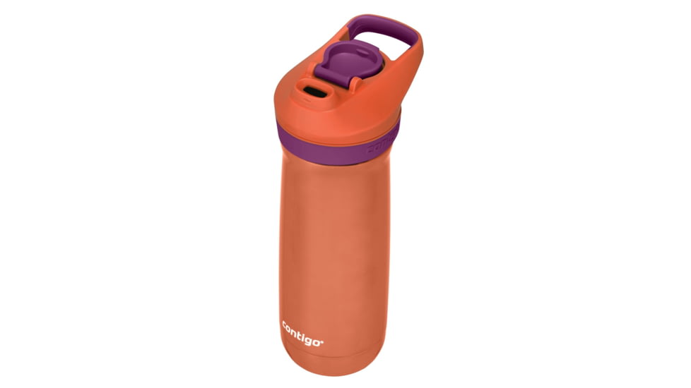 Contigo Casey Autoseal Stainless Steel, 13 oz, Coral Grape, 13, CTSSCASASL13-3