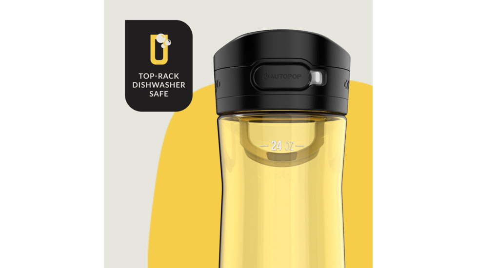 Contigo Jackson 2.0 2 Pack, 24 oz, Jade Vine Pineapple, 24, CTPLJACKSN2024-6