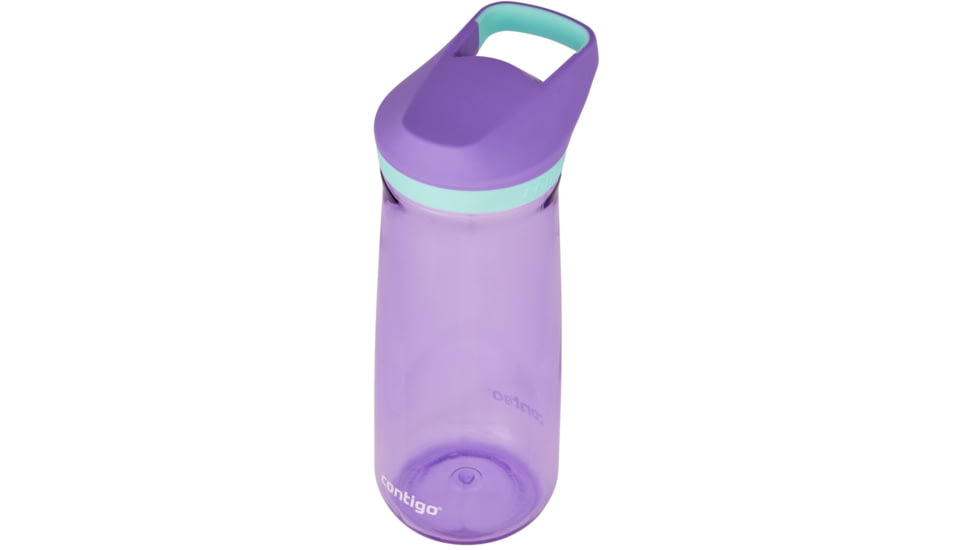 Contigo Micah Simple Lid Tri, 20 oz, Amethyst Jade, 20, CTPLMICTRSIM20-2
