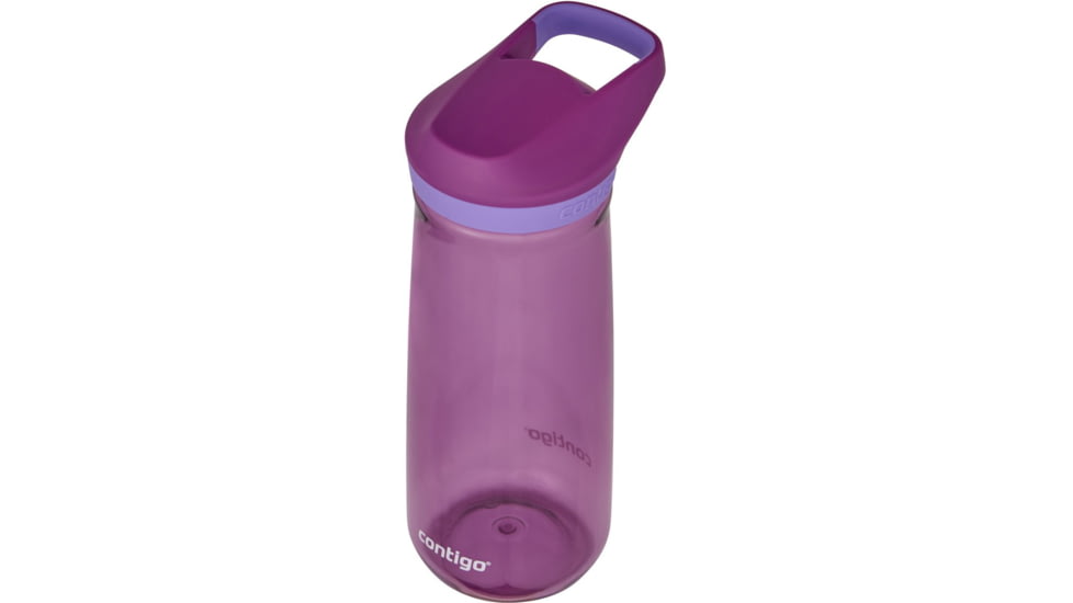 Contigo Micah Simple Lid Tri, 20 oz, Grape Amethyst, 20, CTPLMICTRSIM20-6