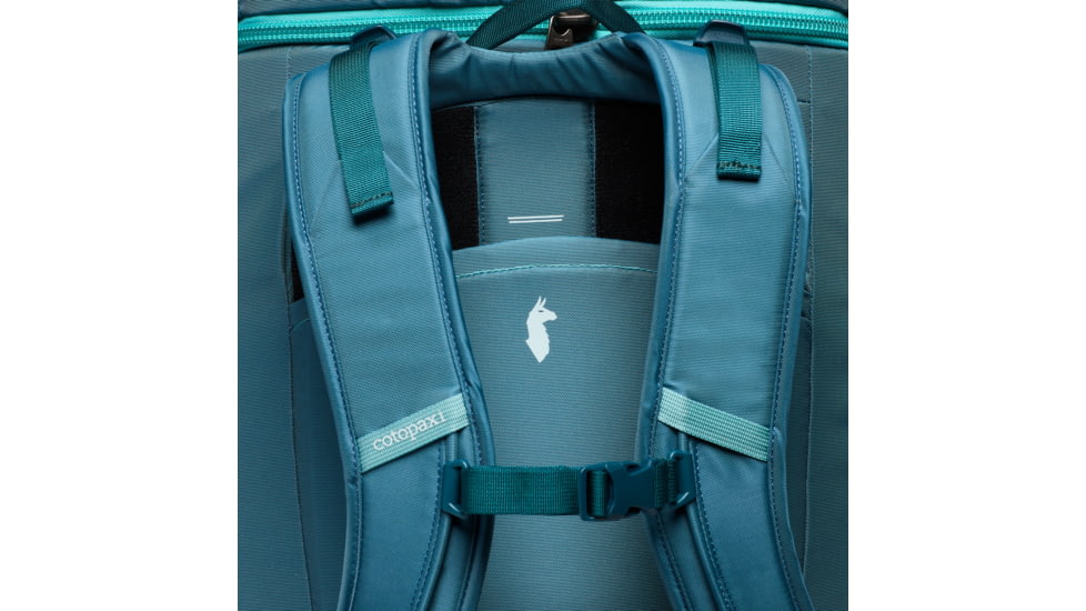 Cotopaxi Allpa 50L Adventure Travel Pack, Blue Spruce/Abyss, A50A-S25-SPABY